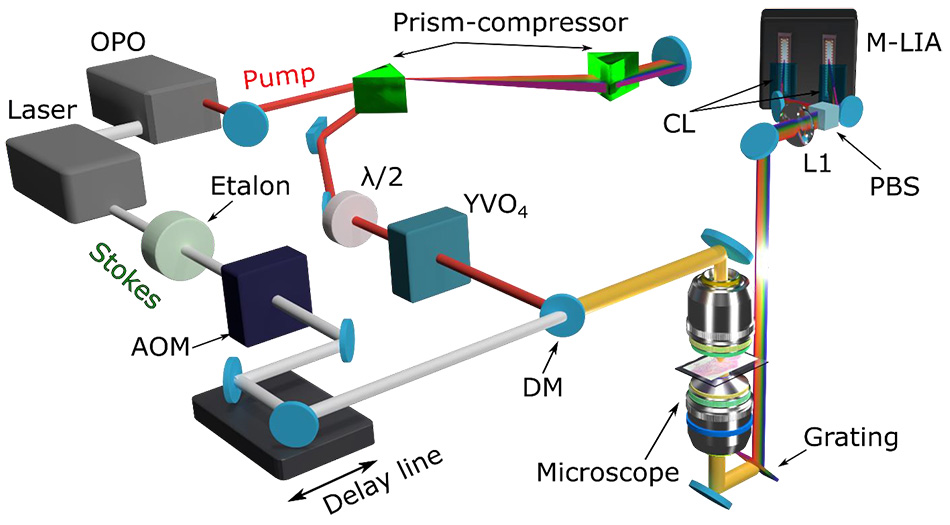 Stimulated Raman Scattering (SRS) Imaging