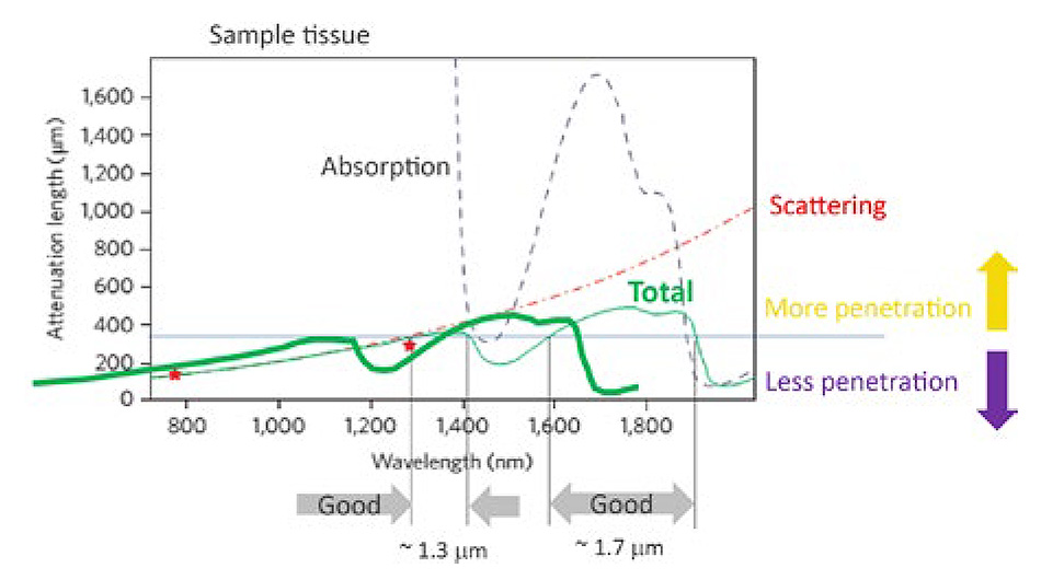 Ultrafast Sources with New Capabilities and Enhanced Ease-of-use Features