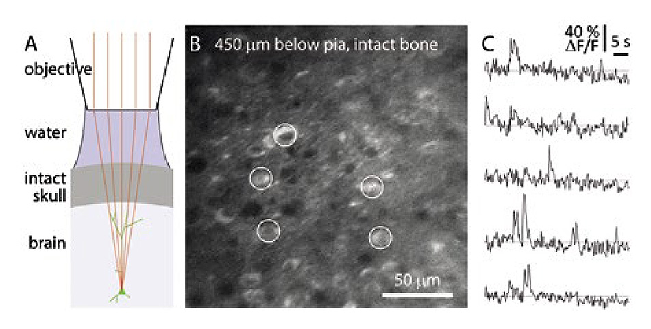 Three-Photon Imaging