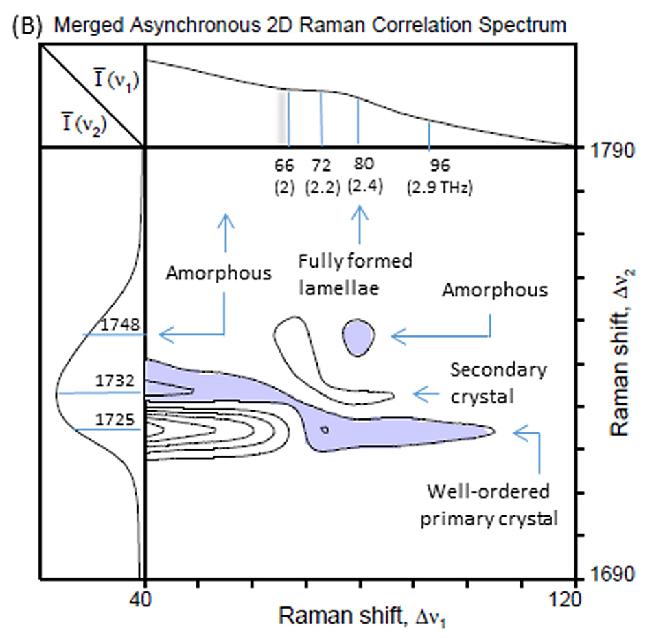 thz-raman-applications-figure-2.jpg