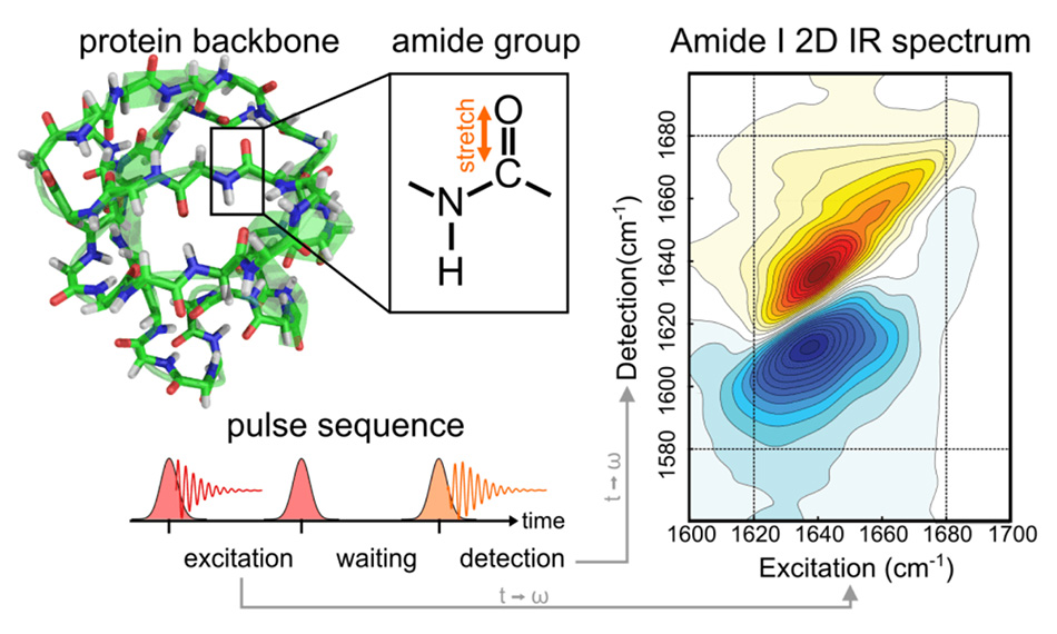 Pump Slice Amplitudes: A Simple and Robust Method for Connecting  Two-Dimensional Infrared and Fourier Transform Infrared Spectra